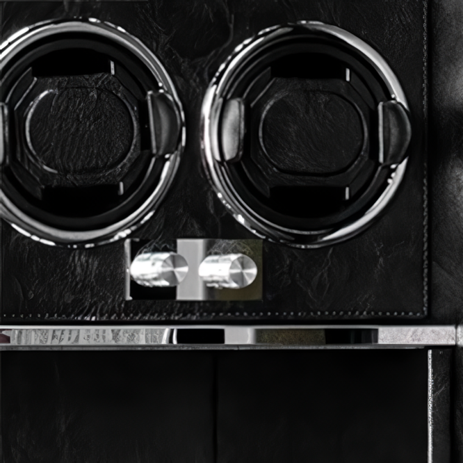 Apollo™ 12 Watch Safe